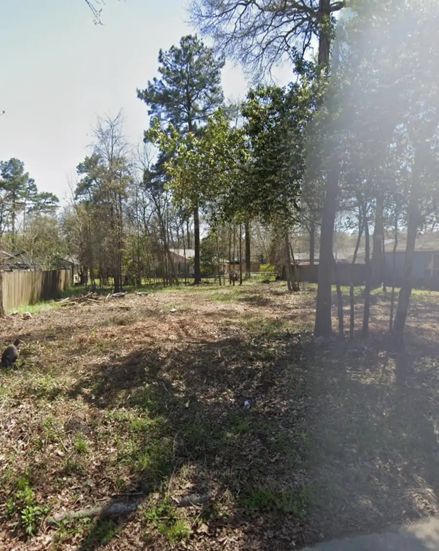 25724 Chestnut Lane, Splendora, TX 77372 - Image #3