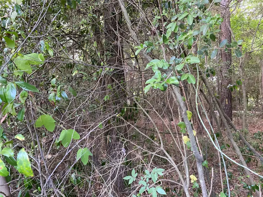 0 Mohawk Bnd, Conroe, TX 77316 - Image #2