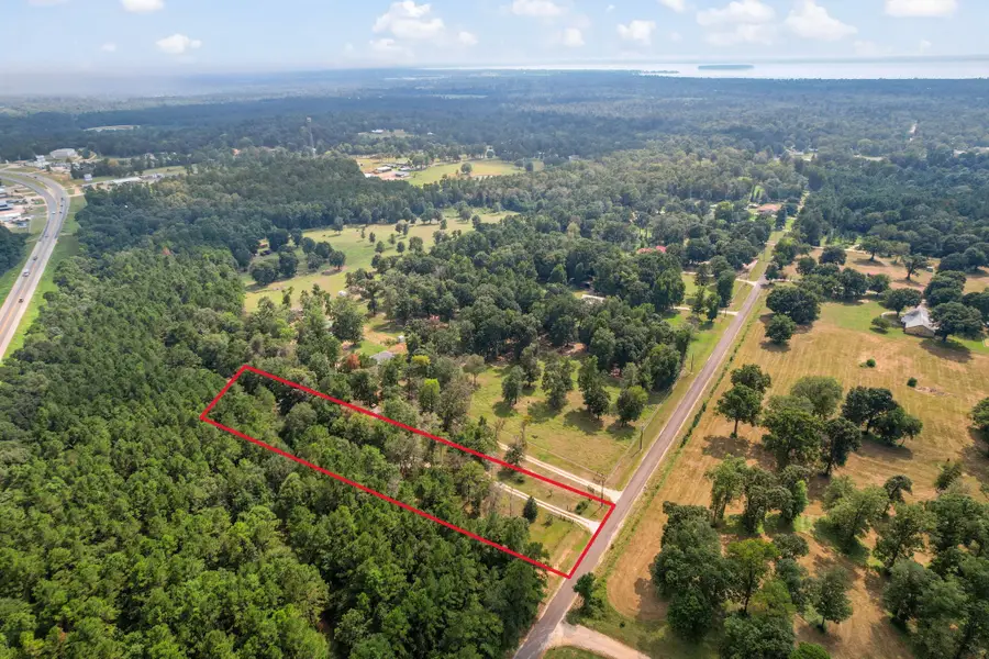 253 Pinckard Rd, Livingston, TX 77351 - #3