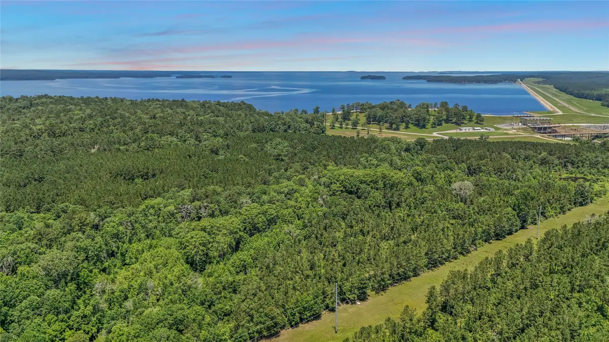 TBD Hickman Rd, Burkeville, TX 75932 - Image #1