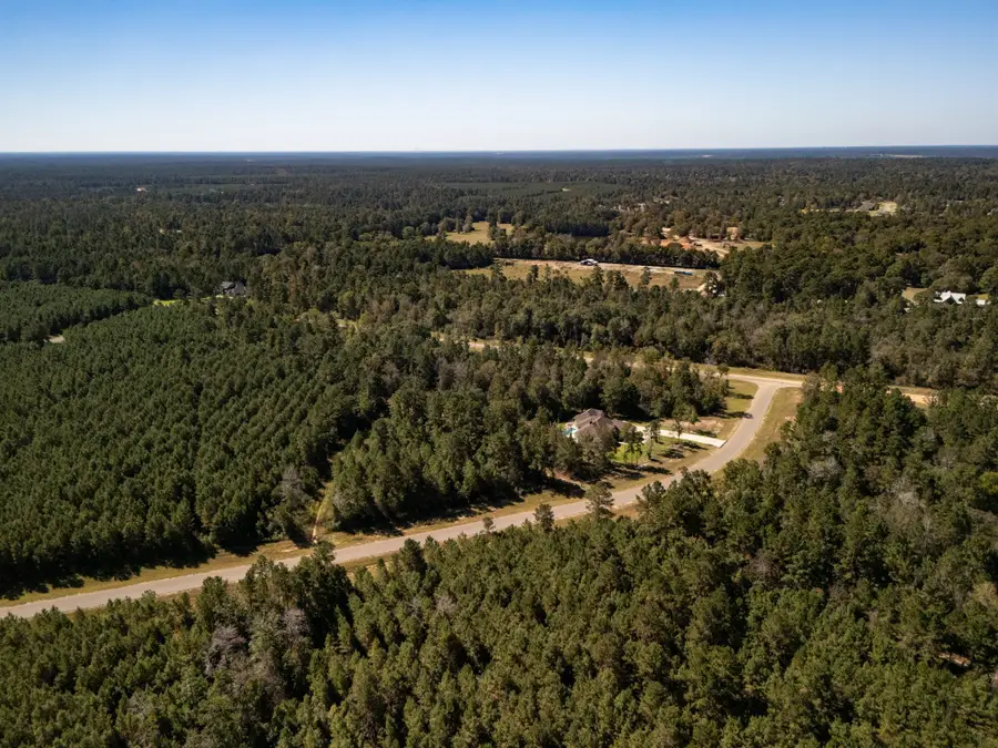 186 Exploration Road, New Waverly, TX 77358 - Image #3