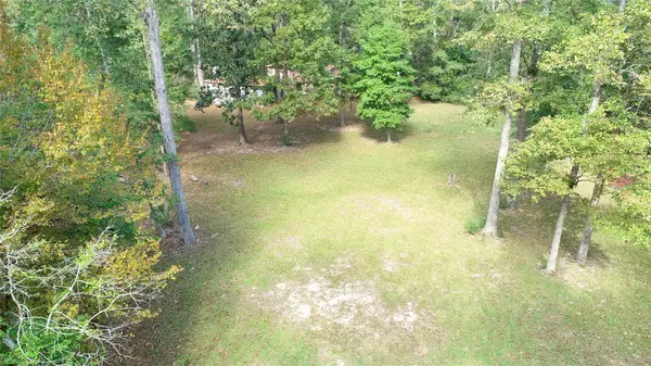 00 Hillbilly Heaven Road, Livingston, TX 77351