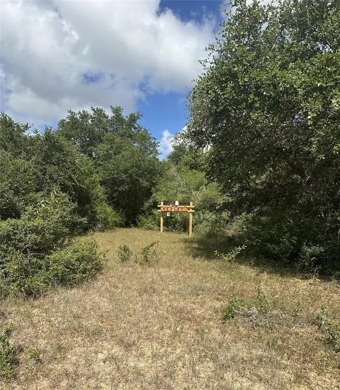 TBD Cr 273 Road, Sheridan, TX 77475 - Image #1