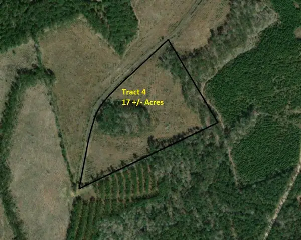 Tract 4 Cr 255, San Augustine, TX 75972