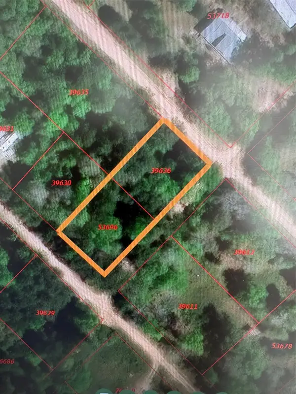 TBDD Margie Drive, Livingston, TX 77351