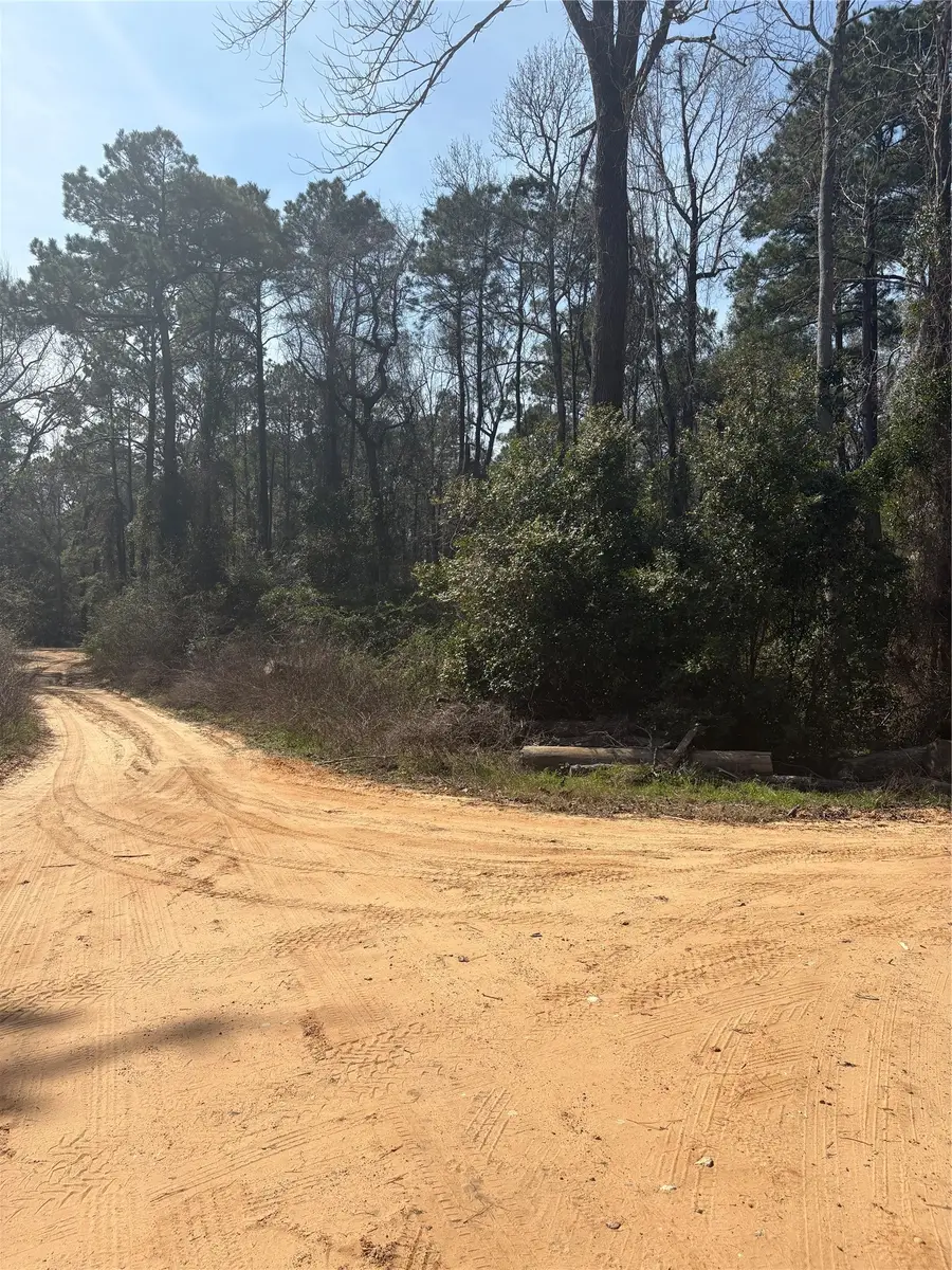 TBDD Margie Drive, Livingston, TX 77351 - #2