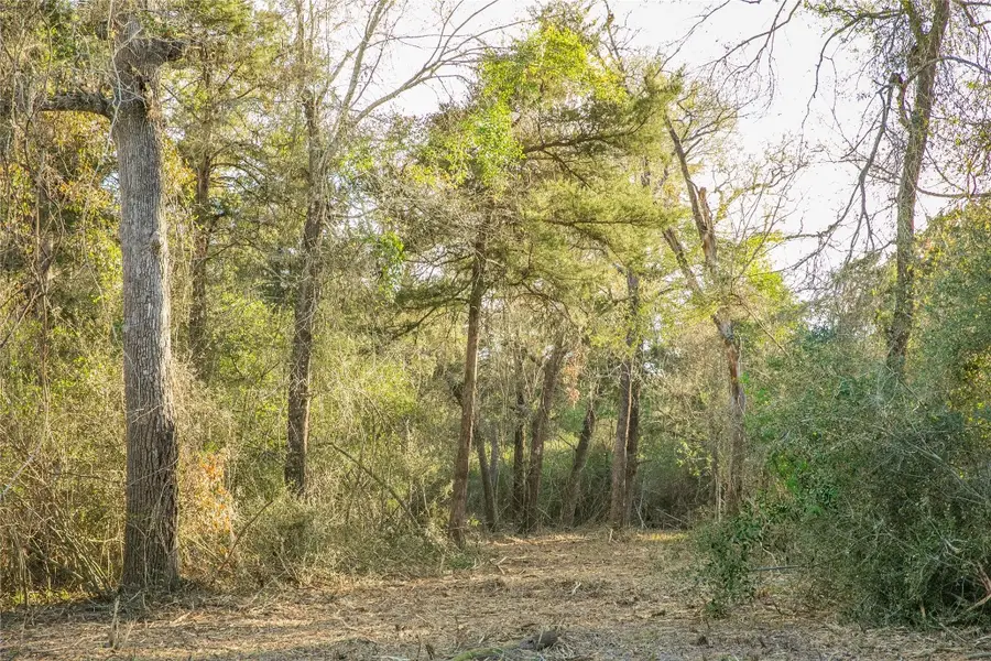 TBD Schoenau Rd, Brenham, TX 77833 - #3