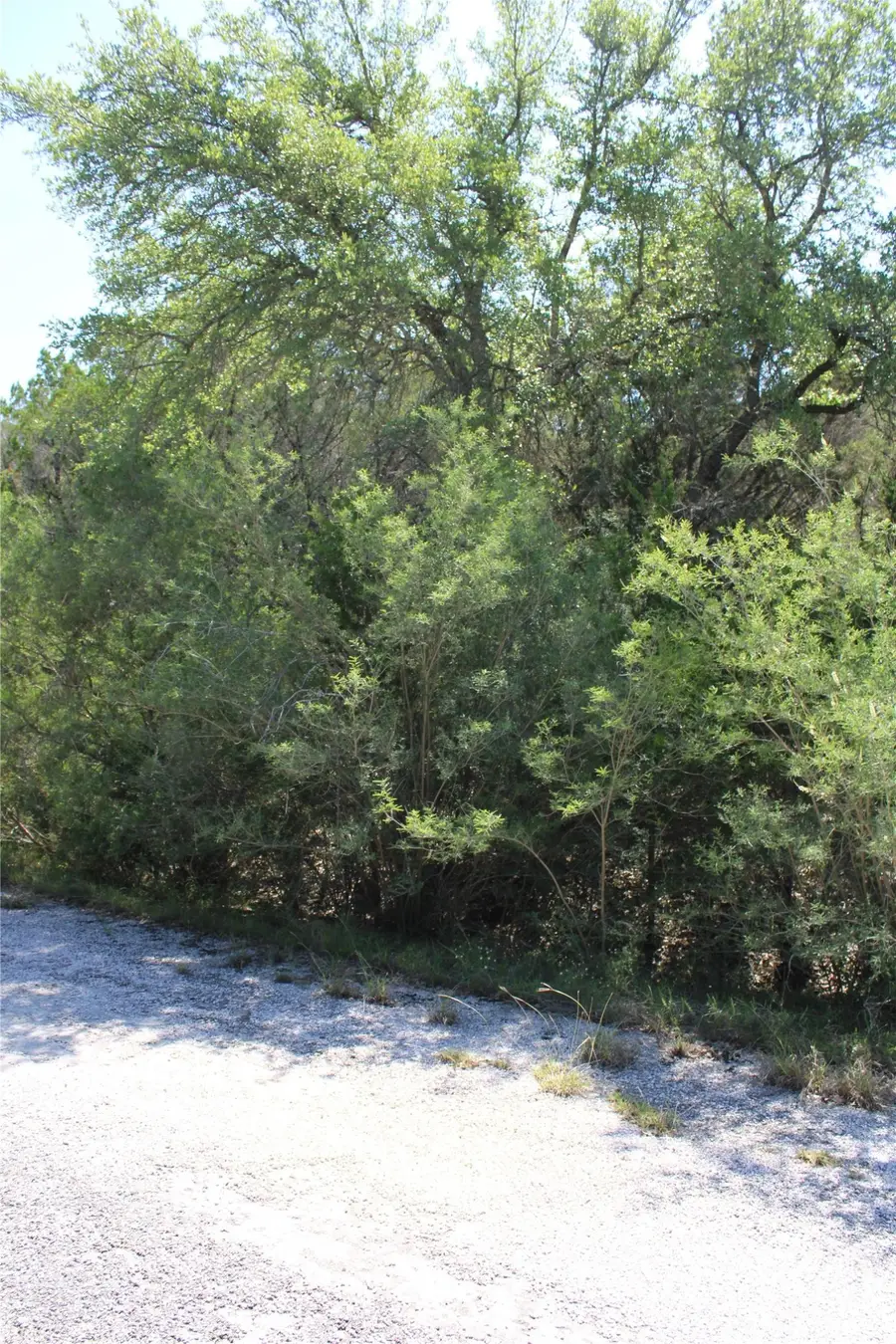 8207 Cedar Glen Cove, Leander, TX 78645 - #2