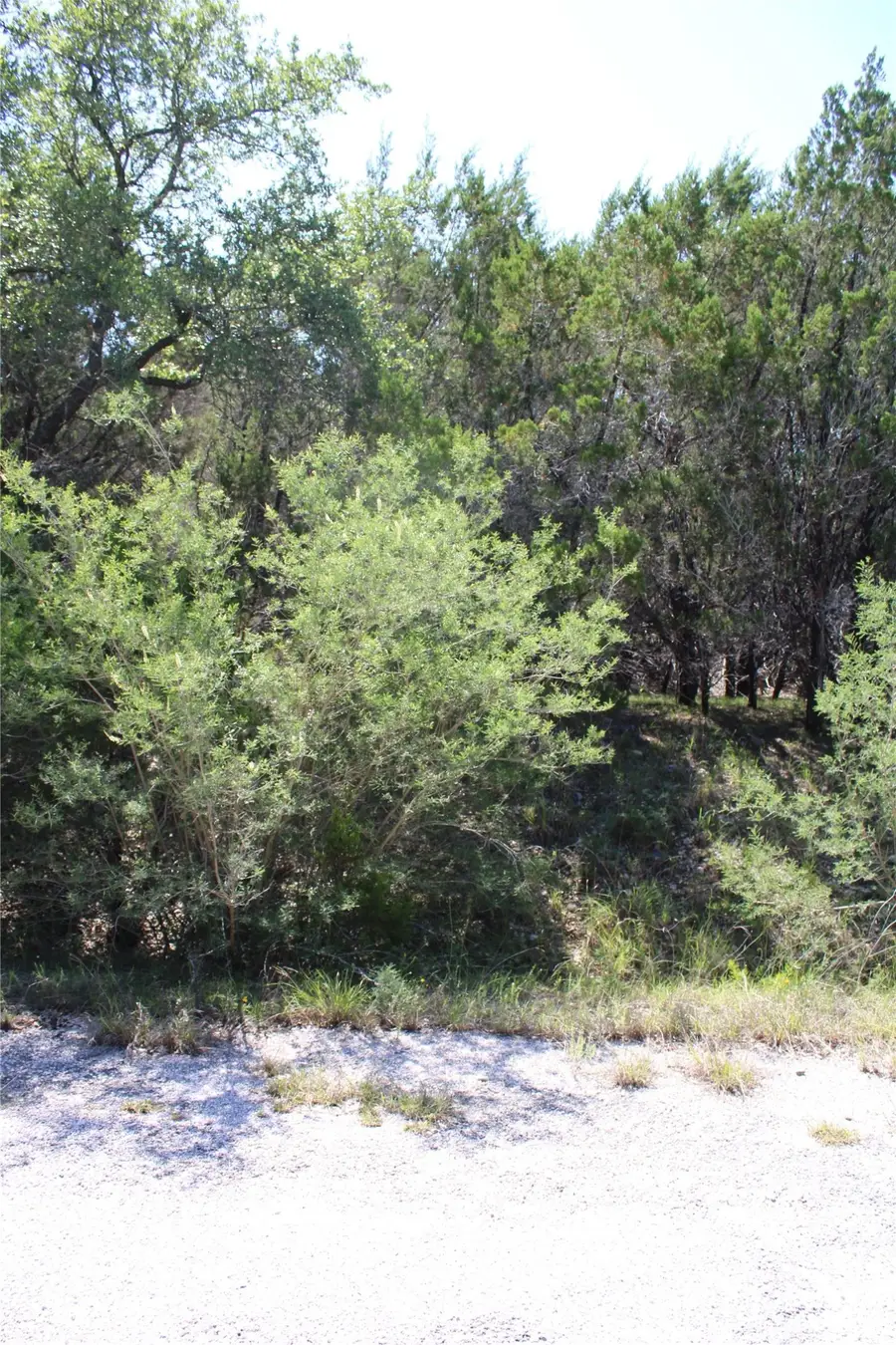 8207 Cedar Glen Cove, Leander, TX 78645 - #3
