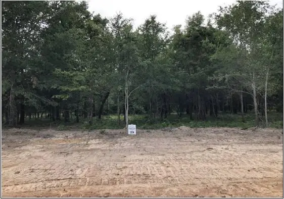 1943 Fm 489 E, Fairfield, TX 75840 - #2