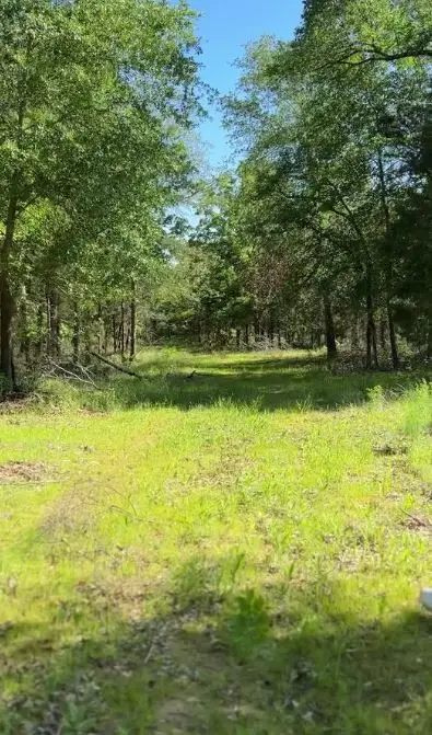 1943 Fm 489 E, Fairfield, TX 75840 - #3