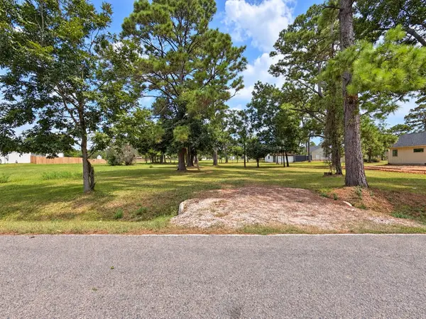 2214 Mamie Ford Road, Alvin, TX 77511