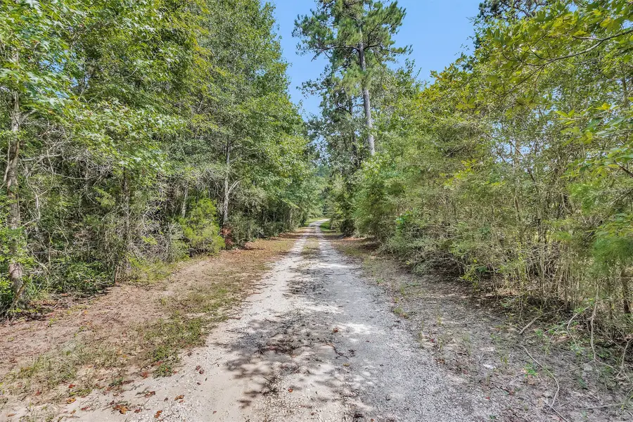 17008 E Fm 1097 Road, Willis, TX 77378 - Image #2