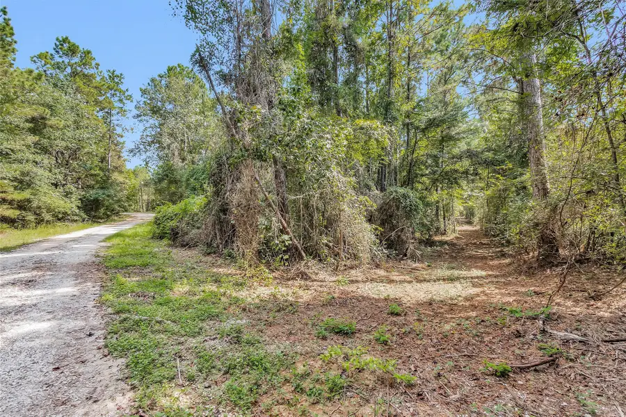 17008 E Fm 1097 Road, Willis, TX 77378 - Image #3