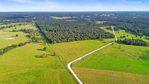 1087 Buckhorn Creek Drive, Crockett, TX 75835