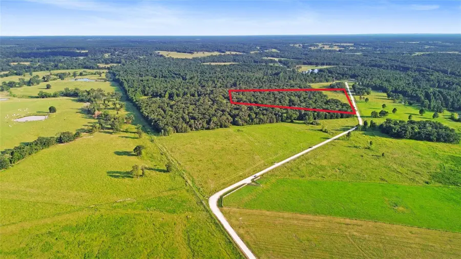 1087 Buckhorn Creek Drive, Crockett, TX 75835 - Image #2