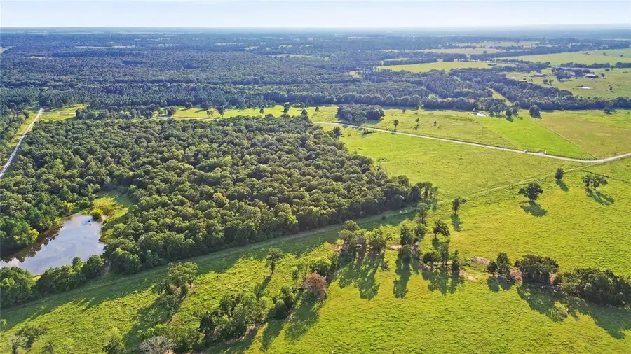 1087 Buckhorn Creek Drive, Crockett, TX 75835 - Image #3