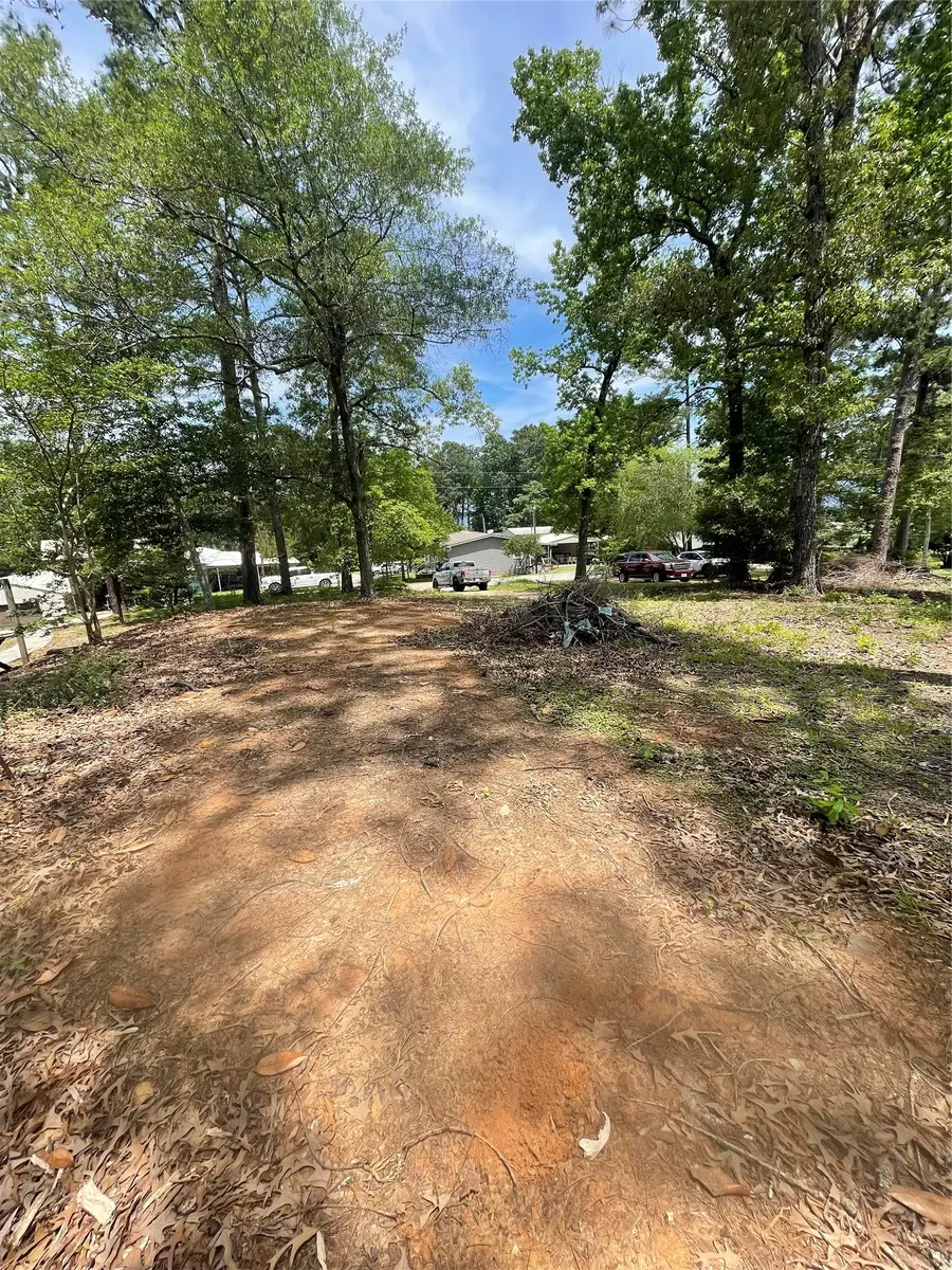 203 Wildbriar Drive, Jasper, TX 75951 - #3