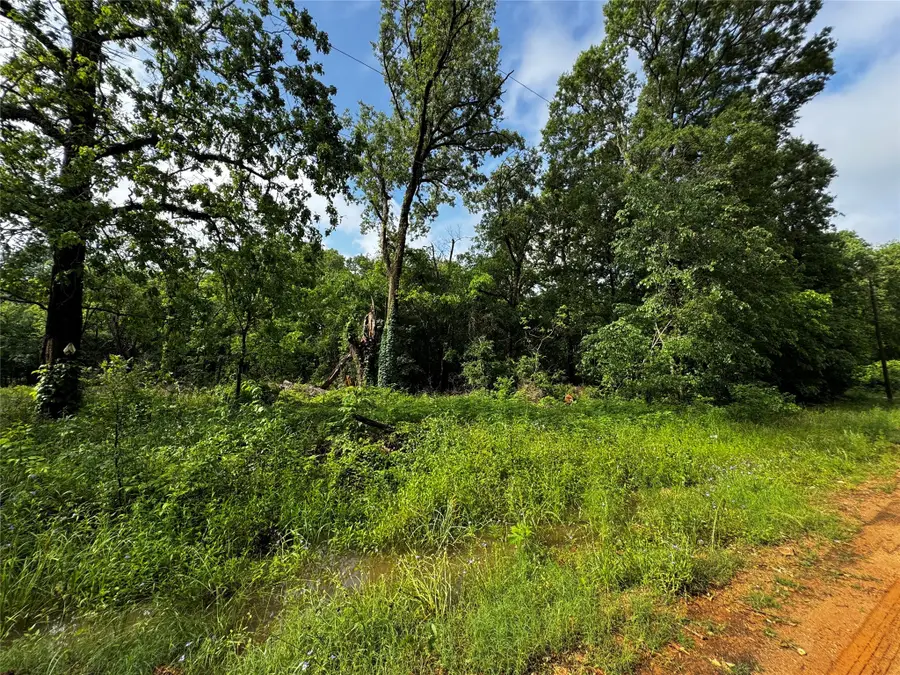 TBD Mudd St, Coldspring, TX 77331 - Image #2