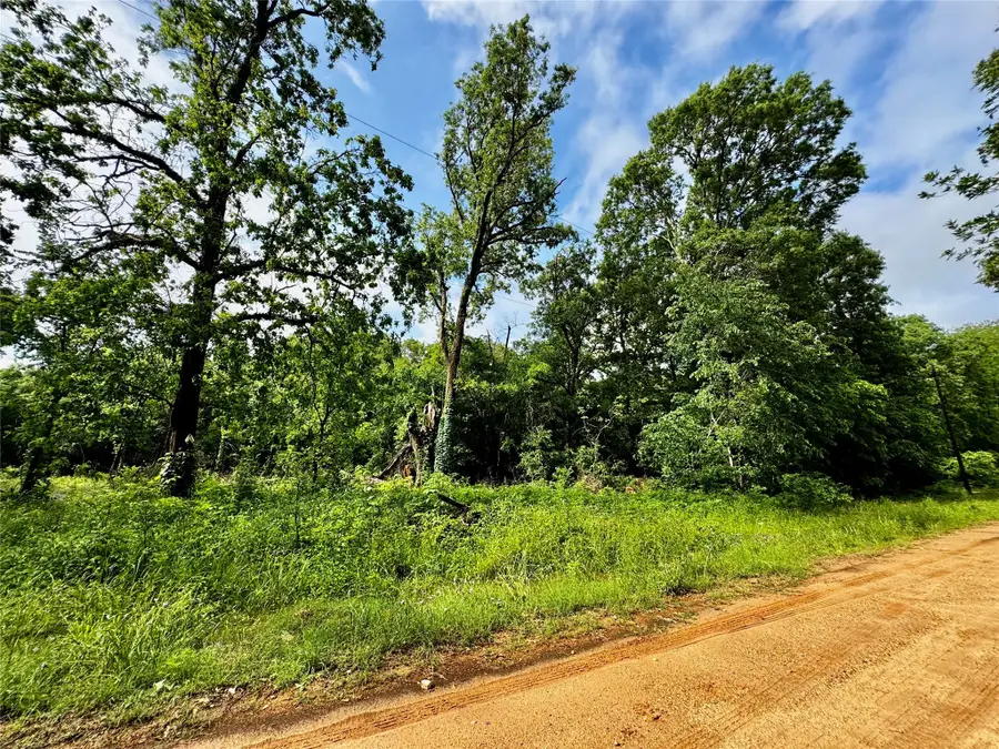 TBD Mudd St, Coldspring, TX 77331 - Image #3