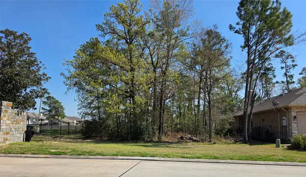 25103 Arcane Court, Spring, TX 77389