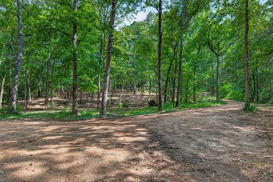 13870 Coaltown Road, Willis, TX 77378 - #2