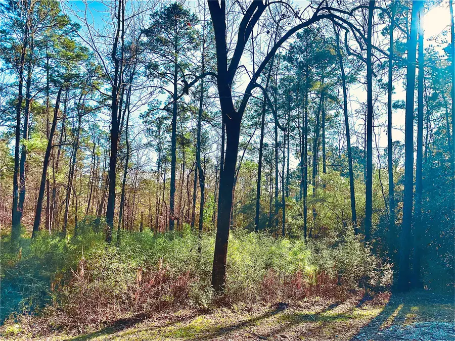 23 Wentworth Ln, Coldspring, TX 77331 - #3