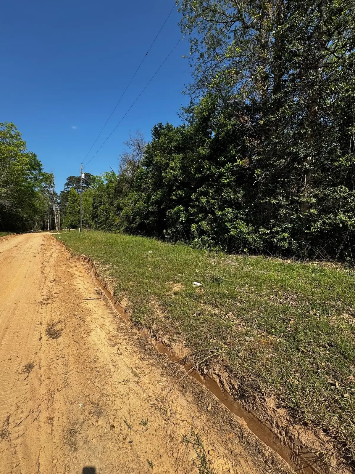 TBD Lannie Boulevard, Livingston, TX 77351 - #1