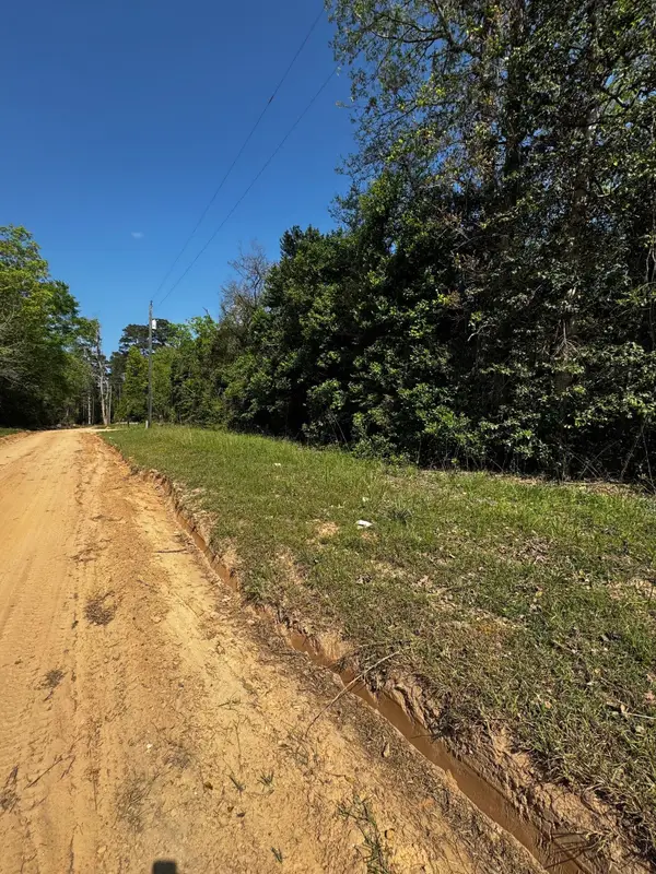 TBD Lannie Boulevard, Livingston, TX 77351