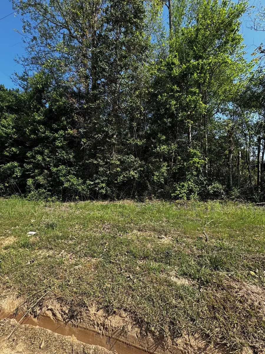 TBD Lannie Boulevard, Livingston, TX 77351 - #2