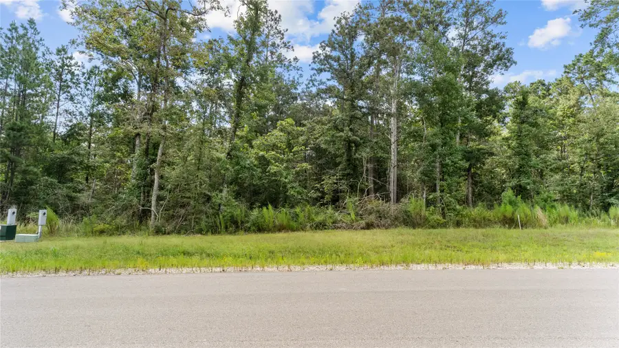 194 Exploration Road, Willis, TX 77378 - Image #3