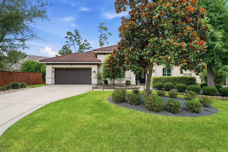 30 Spring Basket Trail, Spring, TX 77389 - #2