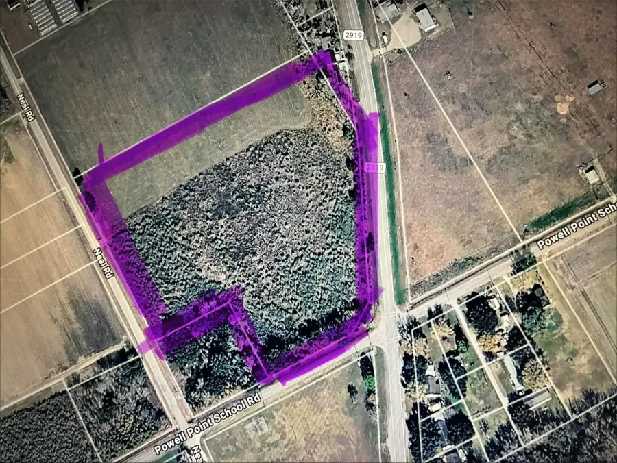 000 Fm-2919, Beasley, TX 77417 - #2