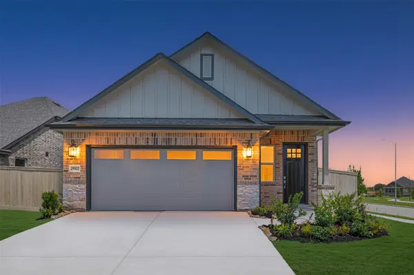 29502 Pondview Drive, Waller, TX 77484