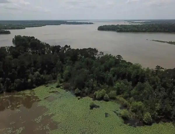 0 Reba Lane, Houston, TX 77336