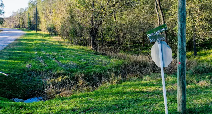 212 Carpenter Drive, Cleveland, TX 77327 - Image #3