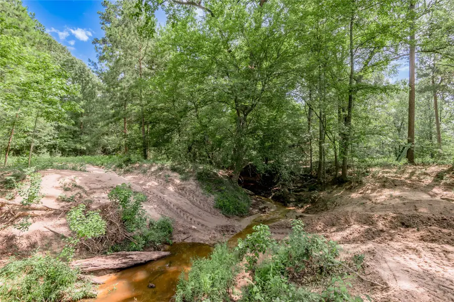 TBD Neal Helton Road, Kennard, TX 75847 - Image #3