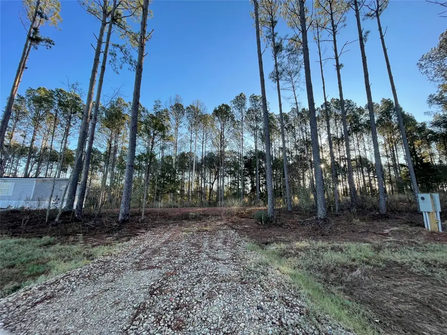 11362 Annie Creek Drive, Willis, TX 77378 - Image #2