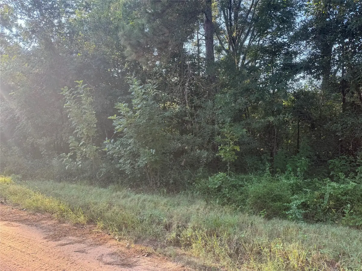 tbd Richard St Street, Coldspring, TX 77331 - Image #1