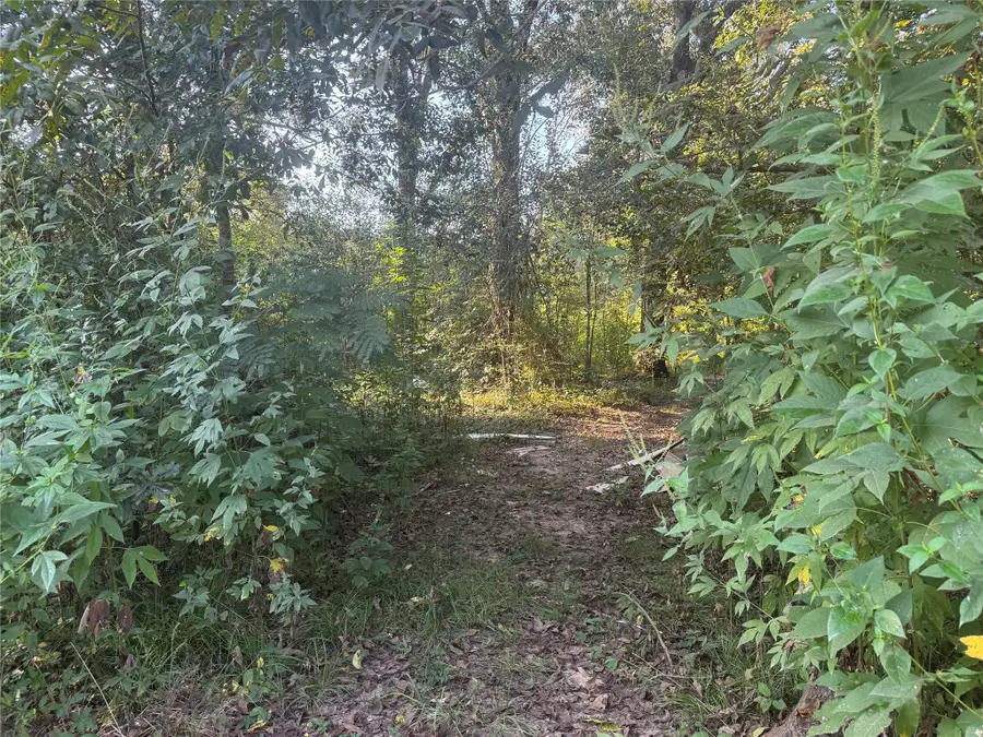 tbd Richard St Street, Coldspring, TX 77331 - Image #2