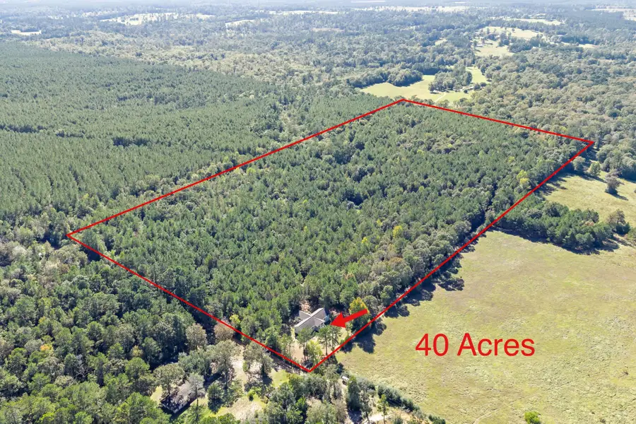 610 Private Road 5130, Woodville, TX 75979 - Image #2