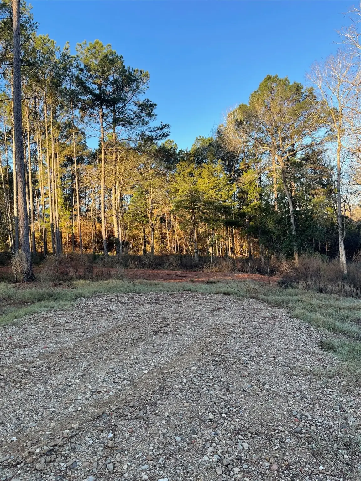 11345 Annie Creek Drive, Willis, TX 77378 - Image #1