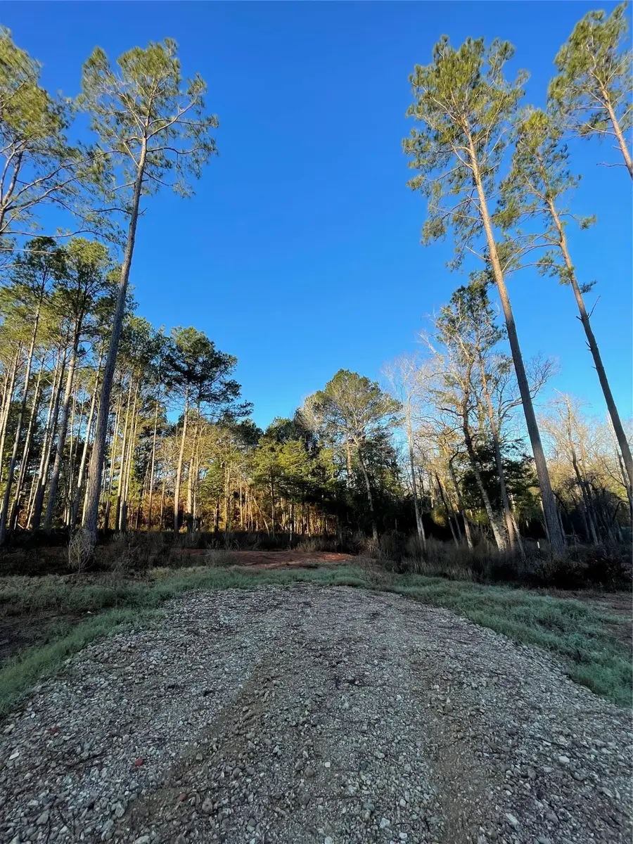 11345 Annie Creek Drive, Willis, TX 77378 - Image #3