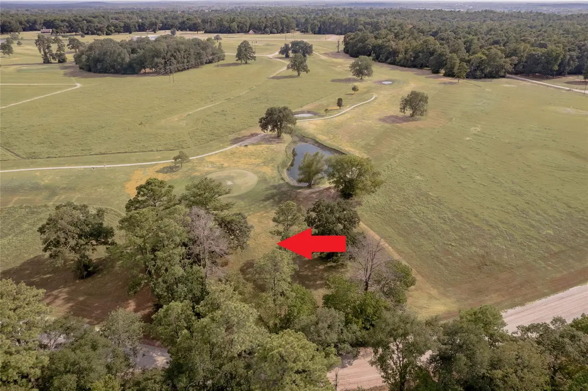 Lot 2C Charleston Street, Trinity, TX 75862 - #1