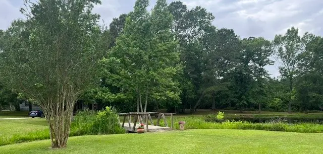 377 County Road 3798, Cleveland, TX 77328 - #1