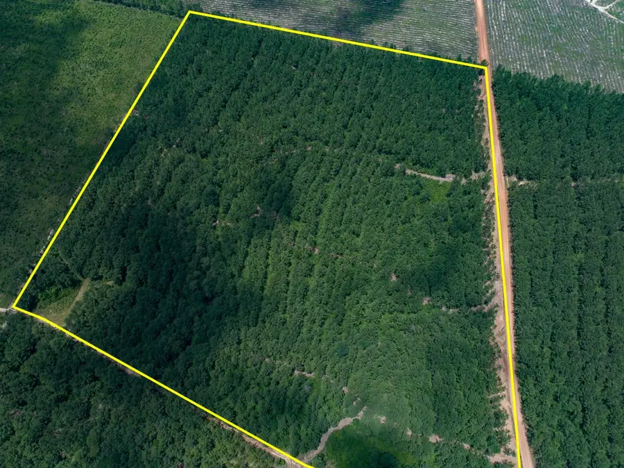 04 Benny Griffin Road, Livingston, TX 77351 - #2