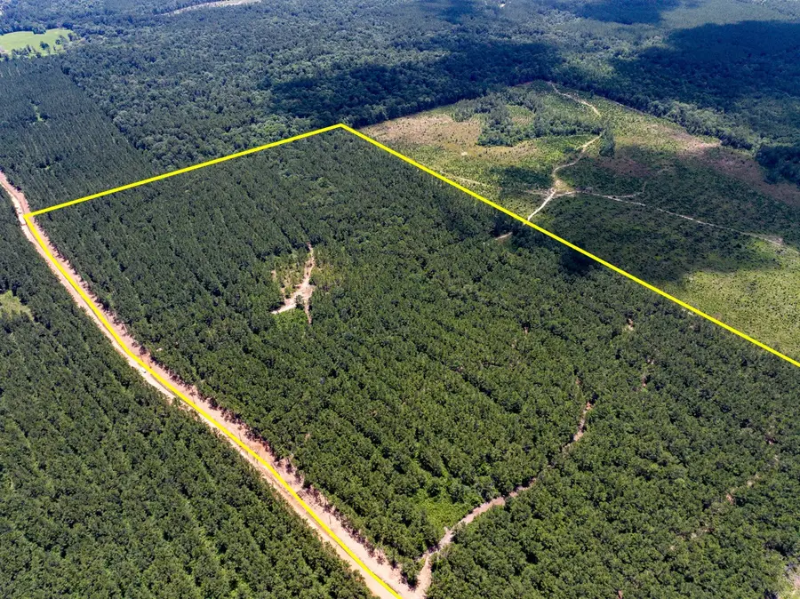 04 Benny Griffin Road, Livingston, TX 77351 - #3