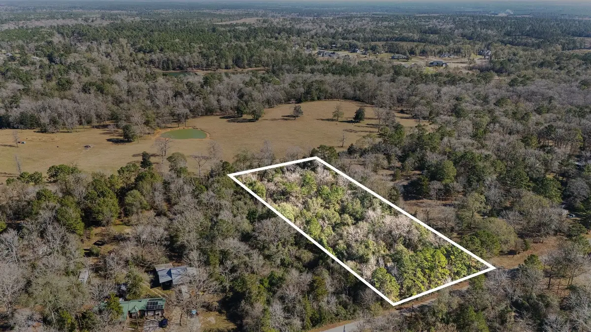 15685 Mckay Road, Willis, TX 77378 - #1