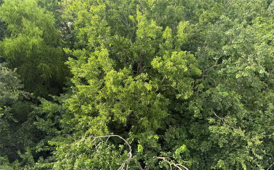 0 Staples Street, Houston, TX 77020 - Image #3