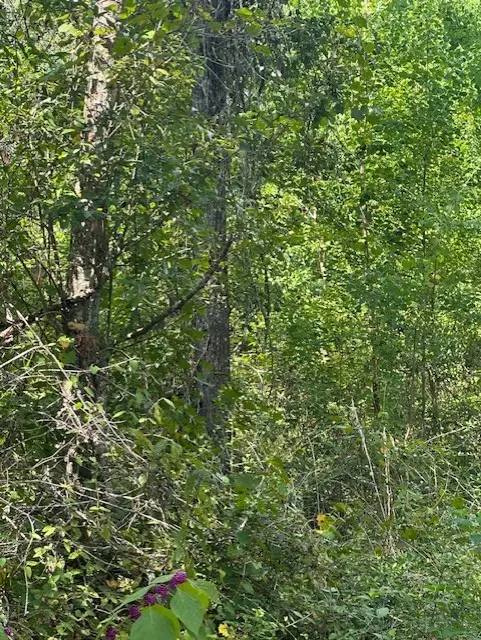 26976 Callie Drive, Hempstead, TX 77445